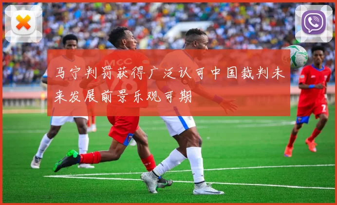马宁判罚获得广泛认可中国裁判未来发展前景乐观可期